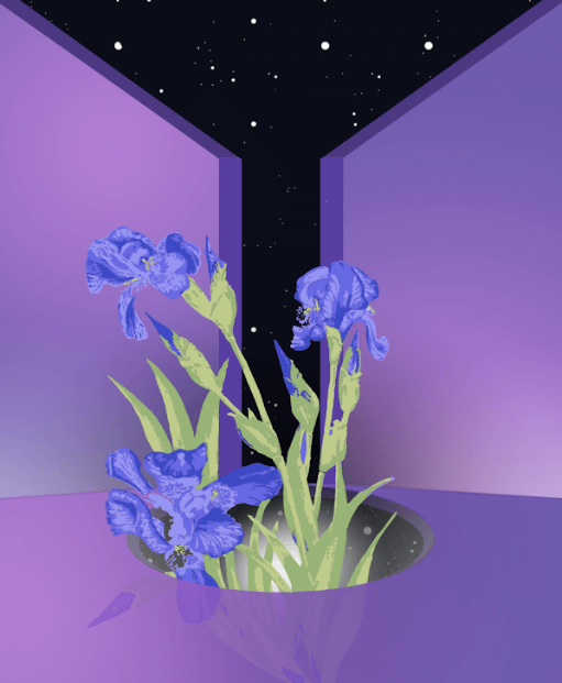 purpleroom